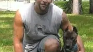 Greater Boston Dog Training   Quincy MA