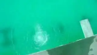 Manfred Schulze Diving
