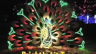 The 12 Nights of Zoo Lights