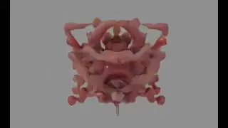 EXPERIMENT Endless Growing of Random Splines