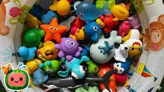 Изучите названия и факты об океанских животных | Видеоролики с игрушками о морских животных | Обр...