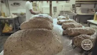 PANARIUM video