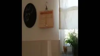 Apartments Nikola - Pirovac - Croatia