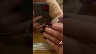 Mirror Tapping
