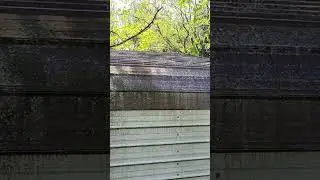cleaning a carport in Salem Virginia