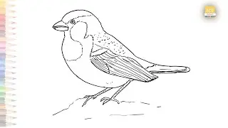 House Sparrow drawing easy | How to draw A Sparrow | Sparrow bird drawing tutorials  step by step