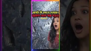 কখনো কি মাছের বৃষ্টি দেখেছেন 😱 #educational #knowledge #mystery #sciencefacts #shots