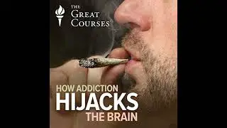 How Addiction Hijacks the Brain Audiobook by Thad A. Polk