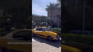 #opala #6cc #opaleiros #opala4100 #opala6cc #opalaporra #opalass #6cc