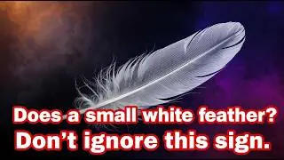 Small White Feather Appearing? Don't Ignore This Sign