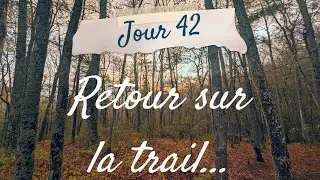 Jour 42 👣🌳⛺️ Retour sur la trail - Appalachian Trail 2024