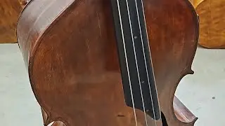Carl Ditters Von Dittersdorf Concerto in Eflat Major for Double Bass and Piano (1st Mov)