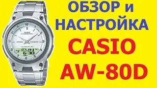 Обзор и настройка часов Casio AW-80D-7AVES