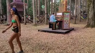 Ocular Organ Electric forest 2023