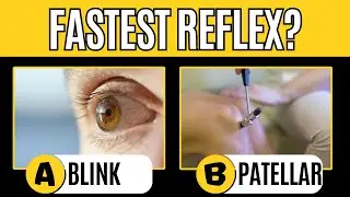 Which Reflex Is This? ⚡ | 30-Question Neurophysiology Quiz