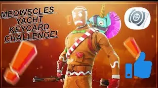 Meowscles Yacht Keycard Challenge