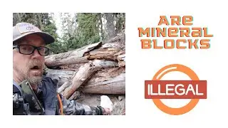 Best Strategy for Elk and Deer Harvest? | FATBIKEHUNTER.COM