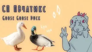Гуси с сп пвчатиком |1 часть| Goose Goose Duck