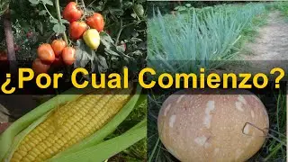 Soy Principiante en la Agricultura ¿Cual debería ser mi primer cultivo?