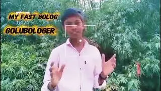 #My fast Bolog @golu-bologer 