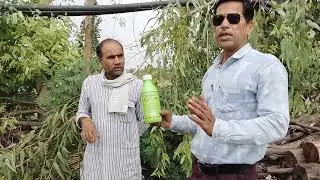 netsurf darect boifeet products calchar ka Rijalt 8827144100