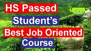 Hs Passed Student's Best Tea Management Course in assam// Best Job oriented course//
