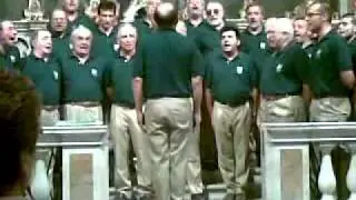 Il 33 inno degli alpini.mp4