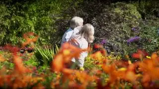 Visit Devon: Houses & Gardens