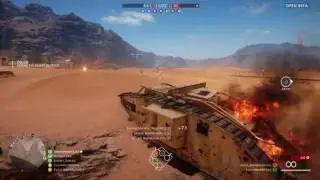 Bf1 beta