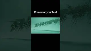This Blender Text Transition Is Next Level 😱🔥 #creativeblender #satisfying #animation #text #blender