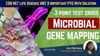 3 Point Test Cross | Microbial Gene Mapping - CSIR NET Life Science UNIT 8 Important PYQ Part 4