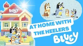 Bluey - At Home with the Heelers - Book Read Aloud