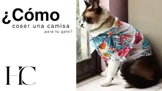 DIY confección camisa Tom Nook (ACNH) para gato