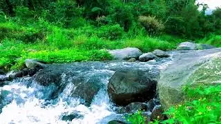 Mountain River for Mental Focus, Tinnitus Relief, Focus