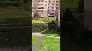 Трудяги, часть1 #работа #труд #life #kow #olga #природа #лето #мастер #отдых #2025 #витебск