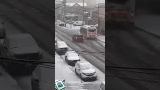 Snow storm 🌨️☃️❄️red alert 🔔 #snow #snowstorm #redalert #newyork