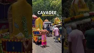 The Heart of Cavadee 🦚 Mauritius 2026 🇲🇺