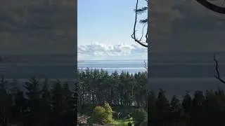Финский залив, корабли и внезапный самолёт &mdash; кадр, который не повторить
