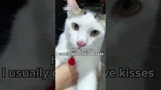 offering fey&lsquo;s kiss