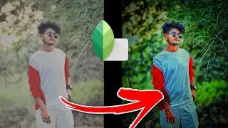 Snapseed green photo editing | Snapseed creative photo editing