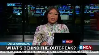 What's behind the rabies outbreak?