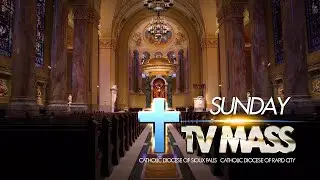 Sunday TV Mass - November 23, 2025