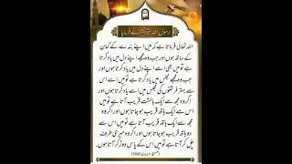 Hadith Mubarka😌#shortsfeed #shortsvideo #ytshorts #shorts#trending #viral #goldpitcher