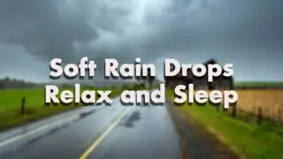 Rainy Country Road for Soothing Insomnia. ASMR Soft Rain Splatter. Relax your mind and get sleep.