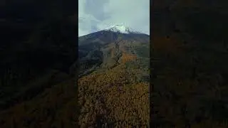【2025 Edition】Complete Guide to Yamanashi Autumn Spots! Mt. Fuji &times; Autumn Colors Scenic Drive Routes