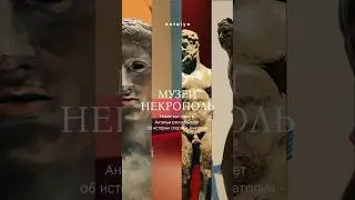 🏺 Спорт в Анатолии: от древних игр до олимпийских идеалов! 🏛️ История в экспонатах. #искусство