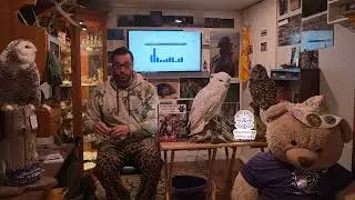 Игра &laquo;Имена сов&raquo; с фотографом Джейсоном Джорджем.