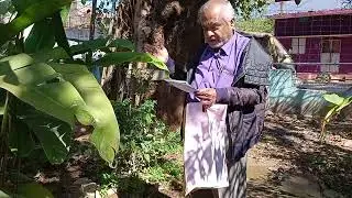 Heliconia(Musha) has identified as national medicinal plant ☘️🌵☘️ of Boliviyan tracts.