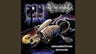 Somnambuliformic Possession