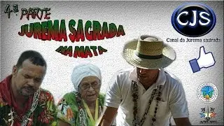 Jurema Sagrada na Mata, São Paulo, 4ª parte